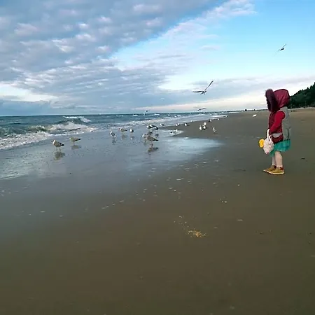 Interferie Cechsztyn