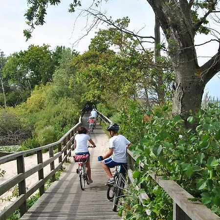 Interferie Cechsztyn Rezort *