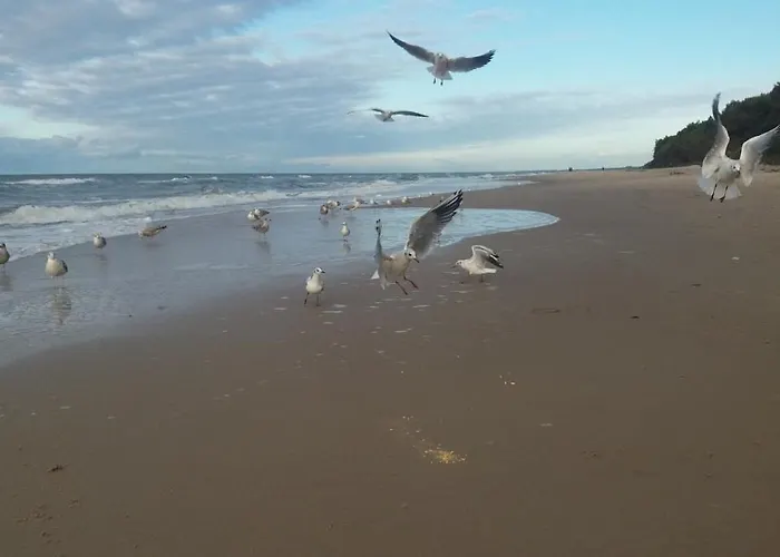 Station touristique Interferie Cechsztyn